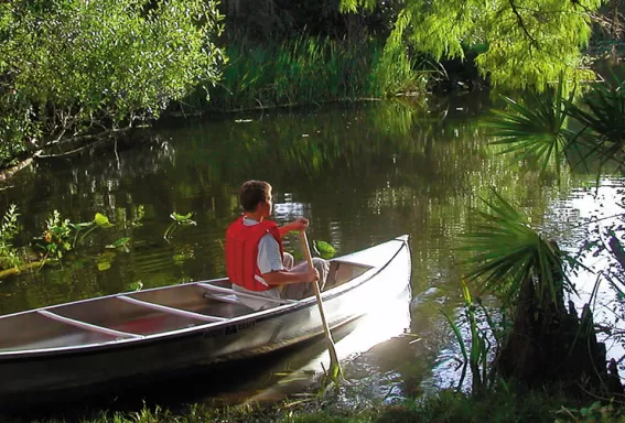 Father and Son canoeing