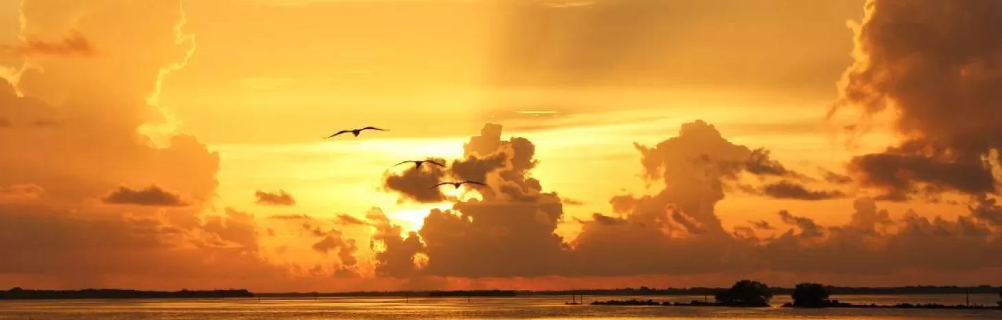 Pine Island