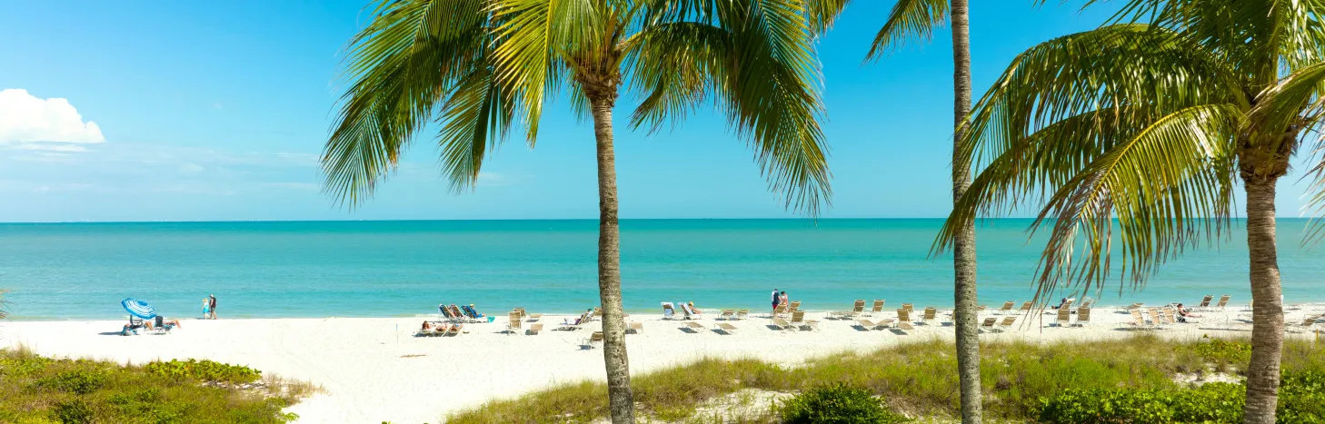 A white-sand beach and palm trees on Sanibel Island