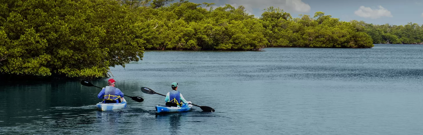 Calusa Blueway Kajakfahren