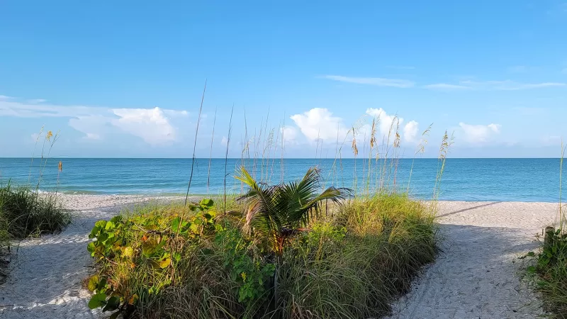 Two sandy beach paths leading to gulf