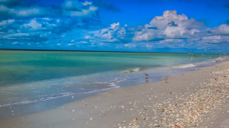 Island Inn Sanibel Beach & Muscheln 2023