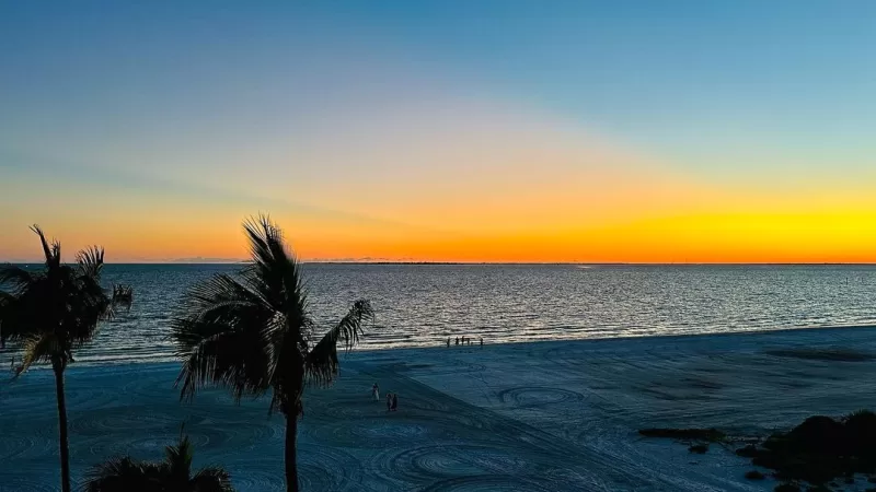 Sonnenuntergang am Fort Myers Beach mit zwei Palmensilhouetten im Blick