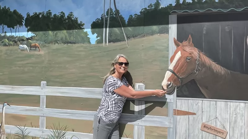 north fort myers mural horse