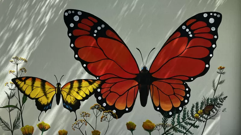 lakes park mural butterflies on wall