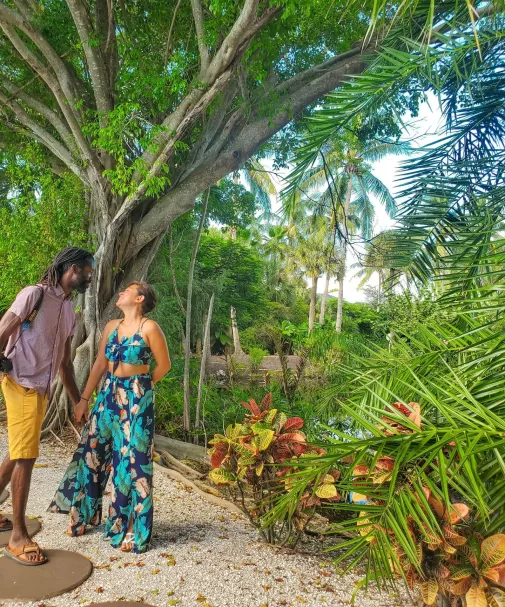 Couple Love Walk Park Trees Flowers
