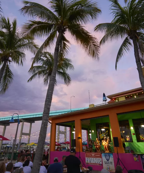 Nellies Island, un sauteur nerveux