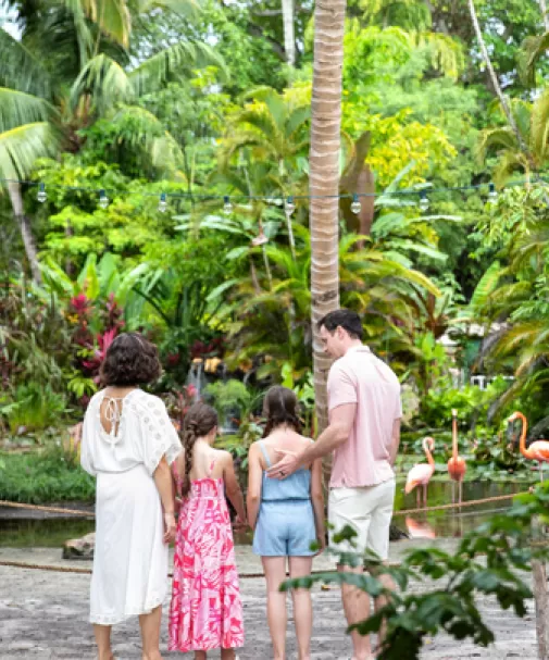 Eine Familie genießt den Anblick von Flamingos in den Wonder Gardens