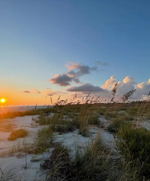 Coucher de Soleil Plage Mer Avoine