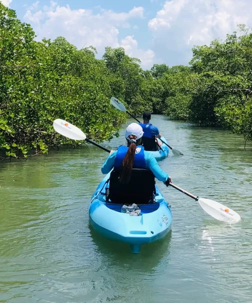 Kayak dans l'eau des mangroves