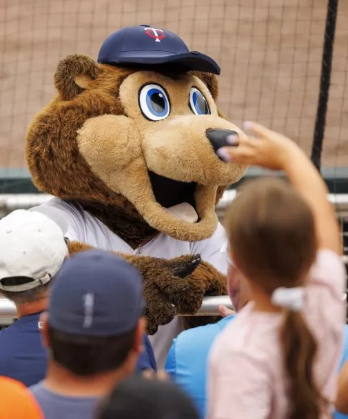 Baseball team mascot