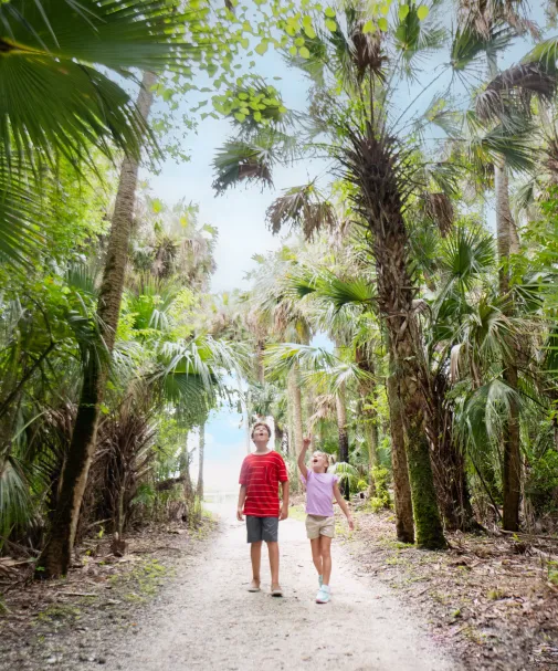 Two people walking along a paved path surrounded by palms and lush vegetation.