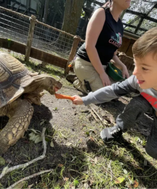 A boy feeds a turtle at Wonder Gardens
