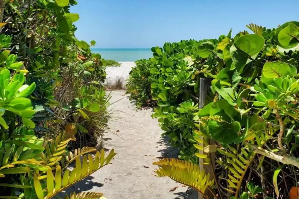 beach walkway