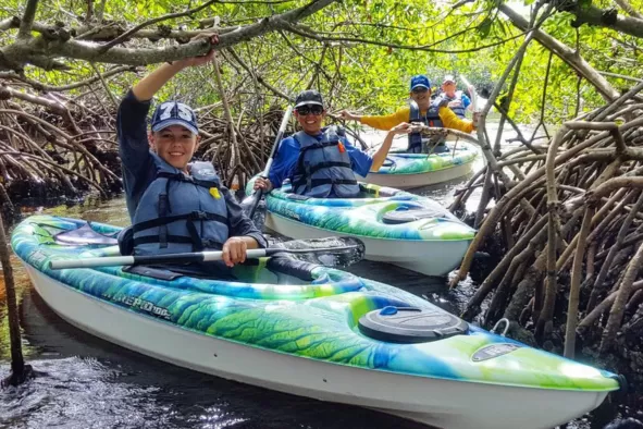 A family enjoys a kayak tour through mangrove tunnels