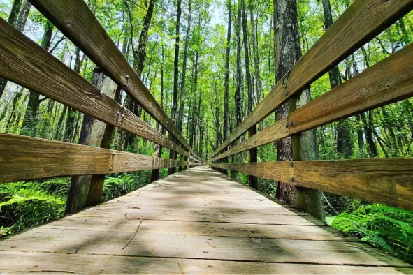Six Mile Cypress Slough Preserve