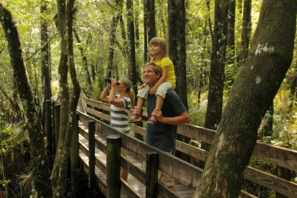 A family explores the nature and wildlife at Six Mile Cypress Slough Preserve.