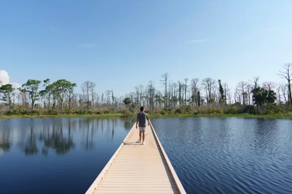 A man explores Galt Nature Preserve on Pine Island