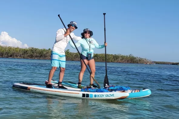 A couple enjoys paddleboarding on calm waters filled with wildlife