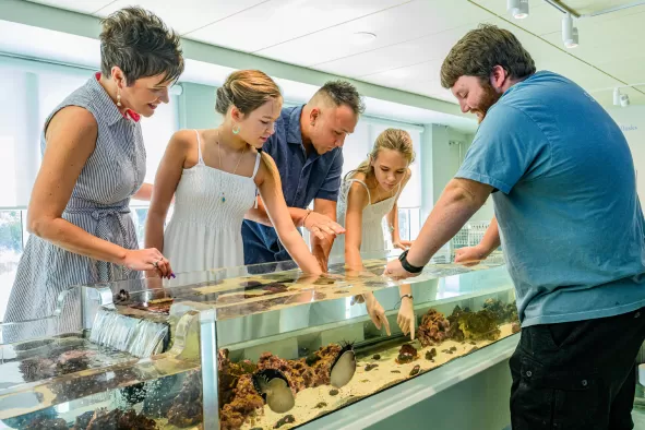A family visits the touch tank at the Bailey-Matthews National Shell Museum & Aquarium