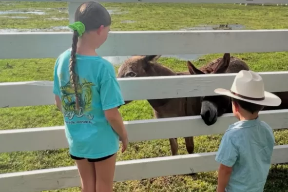 A brother and sister visit the cows at Blossom & Brie