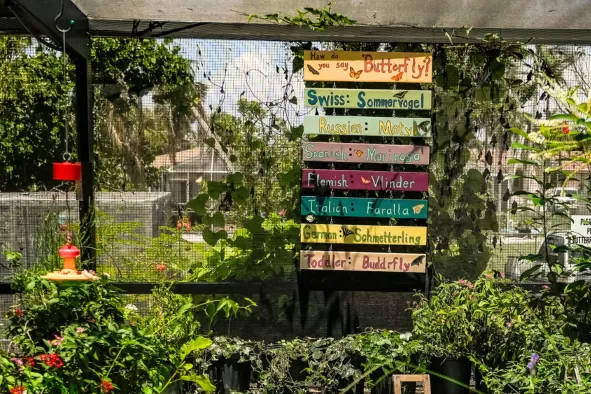 The butterfly garden at Rotary Park