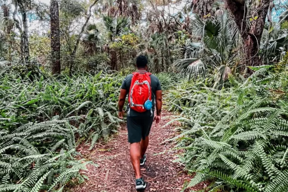 A man hikes through the wilderness at Caloosahatchee Creeks Preserve