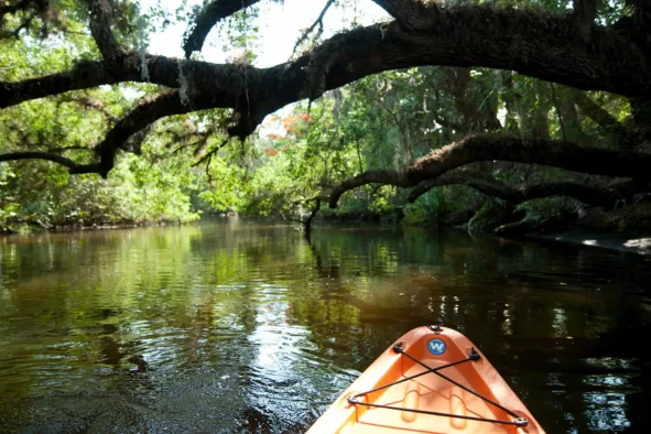 A kayak on the Estero River
