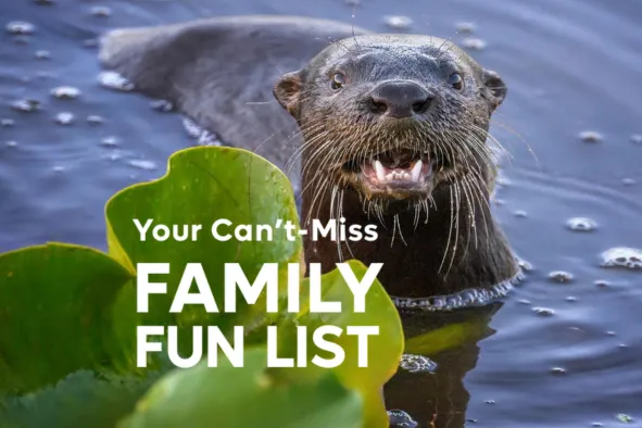 Your can't-miss family fun list