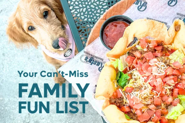 A dog looks longingly at a plate of nachos