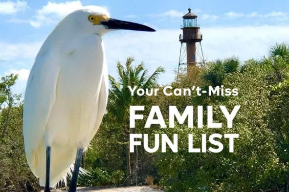 Curious Family Fun List