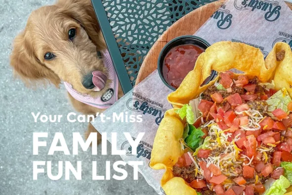 Curious Family Fun List