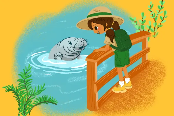 Illustration of a girl with a backpack watching a manatee from a wooden railing near the water.
