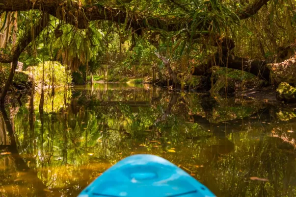 parque-estatal-coreshan-estereo-river-kayak.jpg