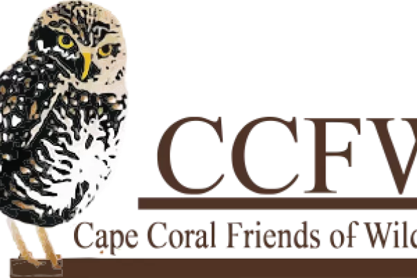 Logotipo de CCFW