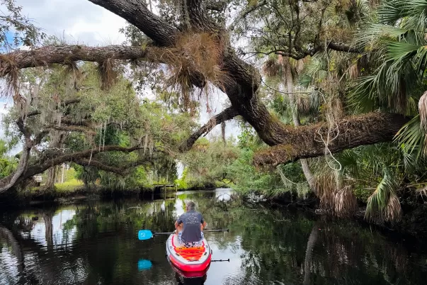 Genießen Sie wunderschöne Ausblicke und erkunden Sie versteckte Schätze und lokale Schätze auf unseren Paddleboards im gesamten Südwesten Floridas.