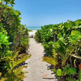 allée de la plage