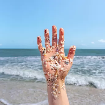 Coquillages bombardant les vagues de la plage