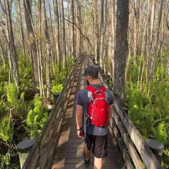 Природна стежка Six Mile Cypress Slough. Дерева