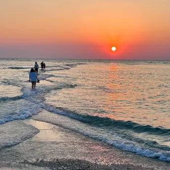 Sunset