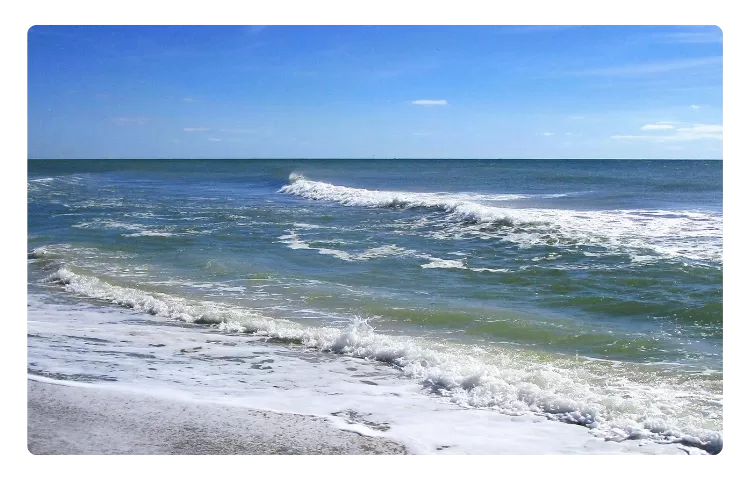 waves image