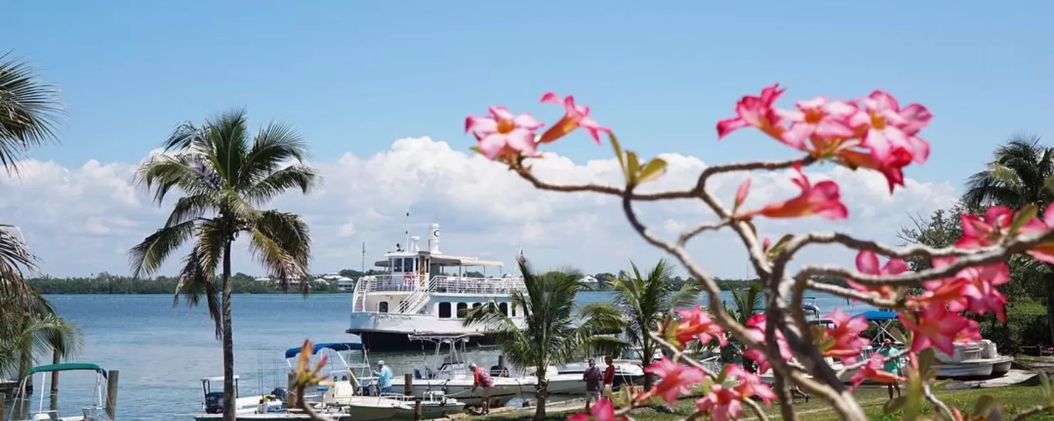 Explore Cabbage Key with Captiva Cruises