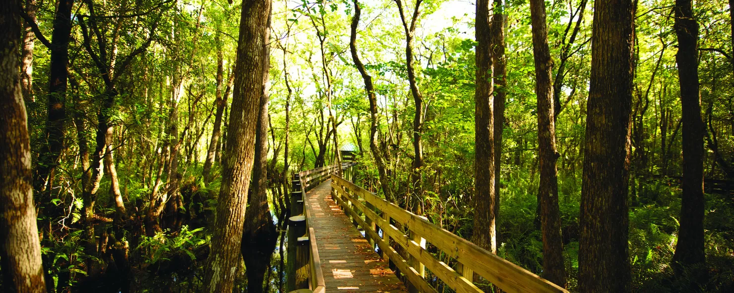Enjoy a peaceful hike in nature