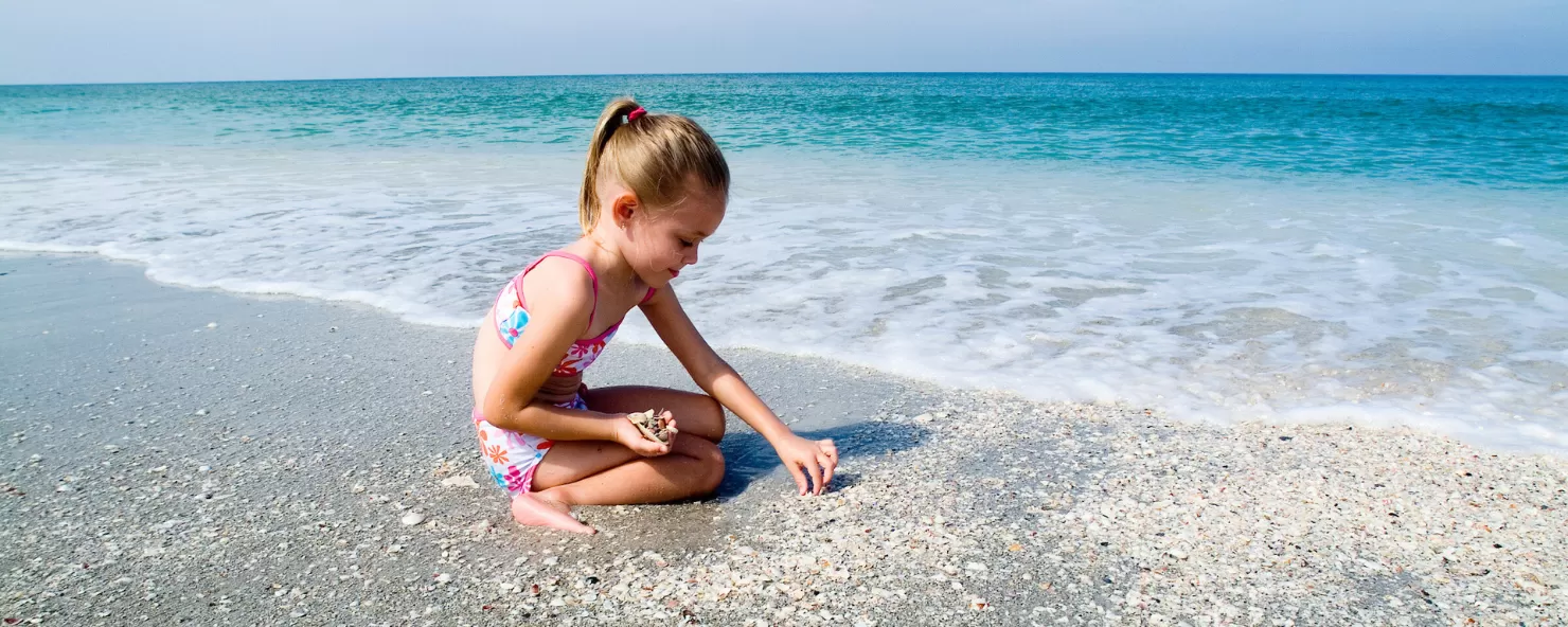 Collect seashell treasures
