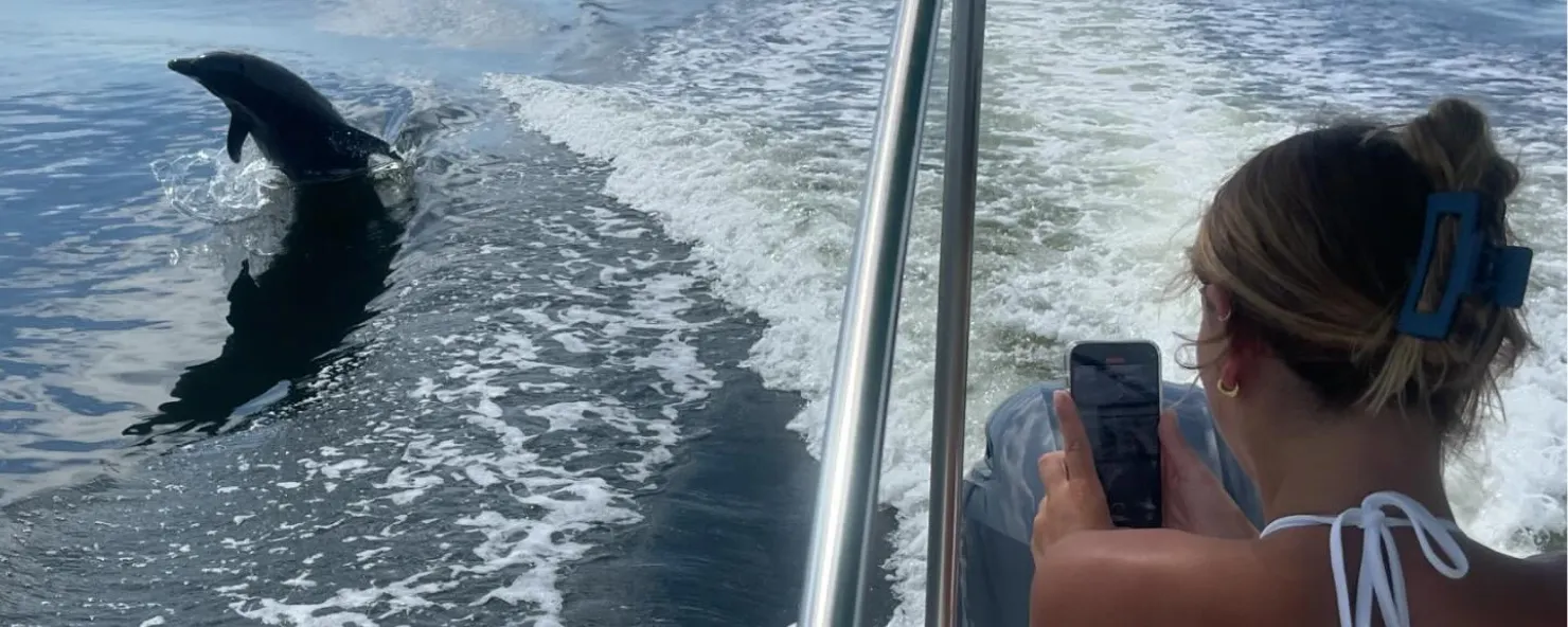 A woman takes a picture of a dolphin