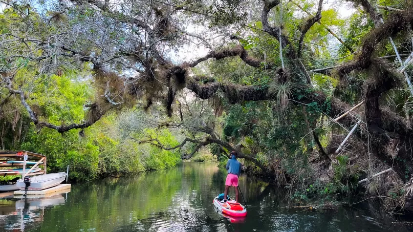 Explore the historical Estero River. A true paradise in Southwest Florida.