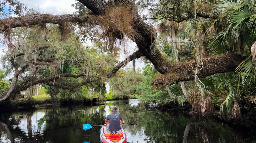 Enjoy beautiful views exploring hidden gems and local treasures on our paddle boards throughout Southwest Florida.