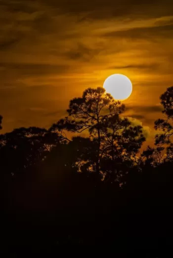 Full moon fun in Fort Myers
