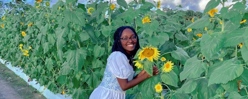 Woman Sunflower Nature Farmer Mikes U Pick