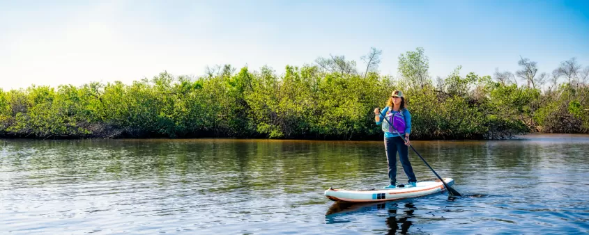 Diana paddle boarding near the mangroves in Cape Coral